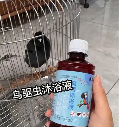 驱虫后多久能洗澡？（不同类型驱虫药物使用后洗澡时间的注意事项）