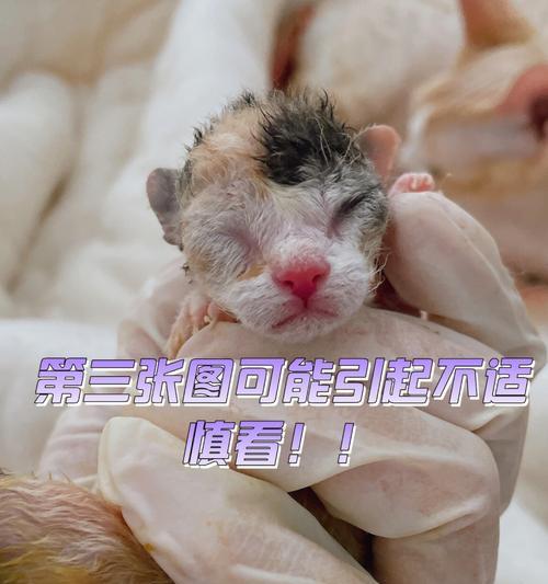 难产的原因、处理和预防方法（探寻难产背后的真相，了解应对和预防的正确方式）