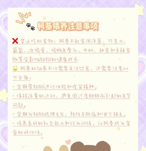 养柯基犬的6个必备知识（不懂这些等于白养，快来了解吧！）