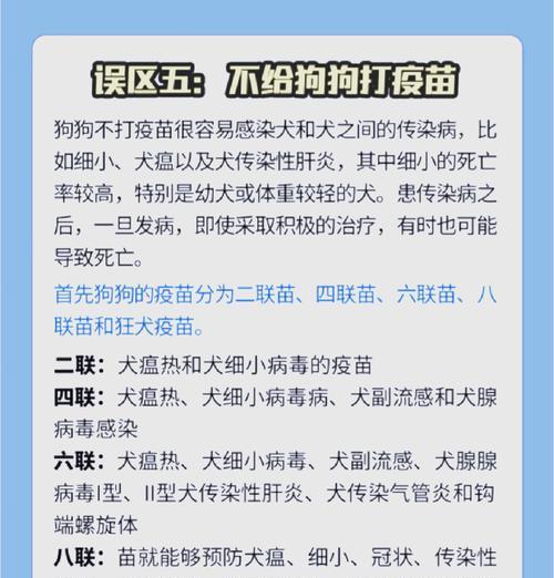 狗传染病过世后多久可以养新狗？（探究狗传染病对新狗养育的影响及适宜的时间间隔）