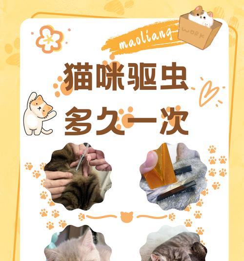 猫体外驱虫药的有效时间及影响因素（了解猫体外驱虫药的有效时间，让爱宠更健康）