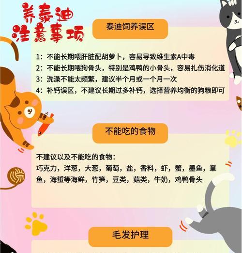 贵宾犬（了解贵宾犬的价格及如何正确饲养）