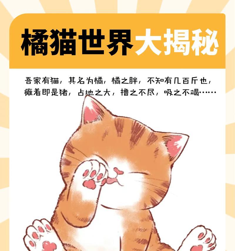 正确喂养猫咪（铲屎官别再犯错了！）