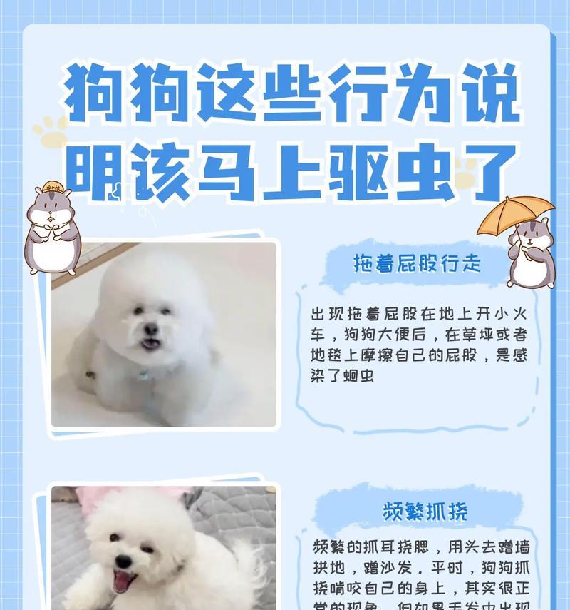 狗狗呕吐的原因及判断方法（了解狗狗呕吐的常见原因，教你如何判断是否因为吃的太快了）