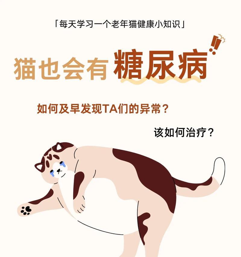 猫糖尿病与寿命（了解猫糖尿病的进展和对猫咪寿命的影响）