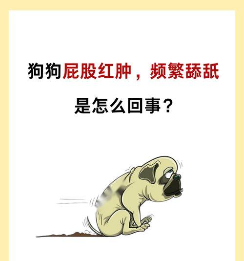 为什么狗狗会互闻屁股？（探索狗狗互闻屁股的原因和意义）