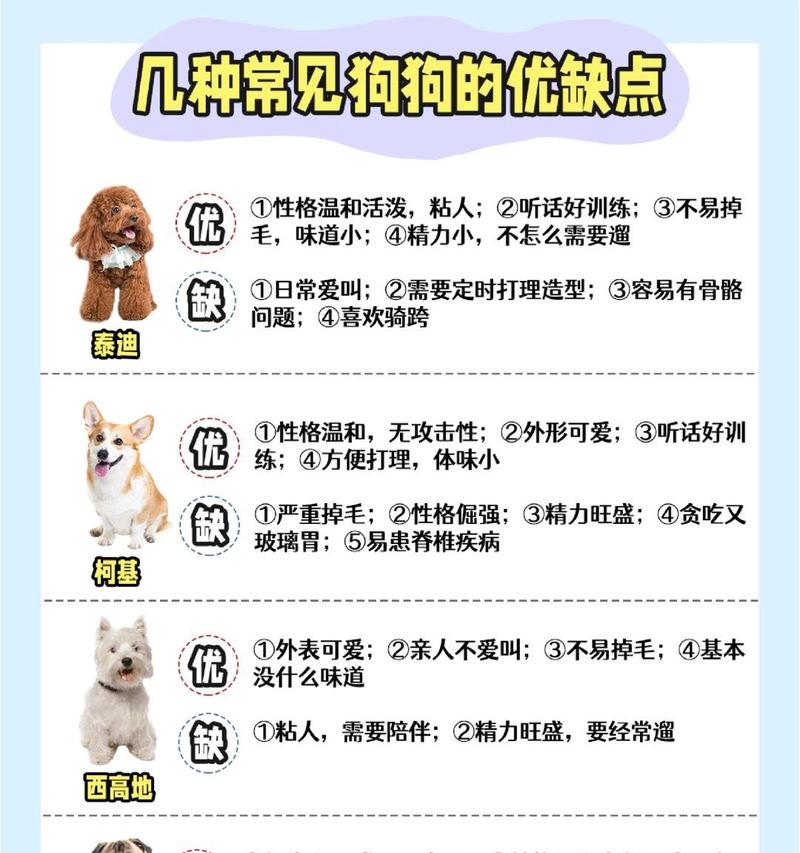 泰迪犬换胎毛的周期及注意事项（了解泰迪犬换毛周期，让宠物更健康）