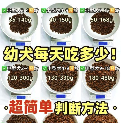 比熊打虫药的正确使用方法（维护宠物健康的关键，正确使用比熊打虫药）