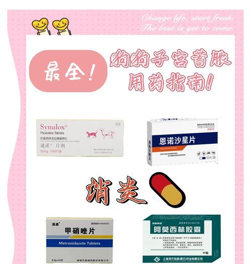 小狗误食外用消炎药的危害（了解狗狗吃了外用消炎药的相关风险及应对方法）