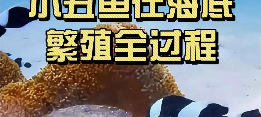 家鱼繁殖的步骤与技巧（掌握家鱼繁殖的关键，成功养殖更易如反掌）