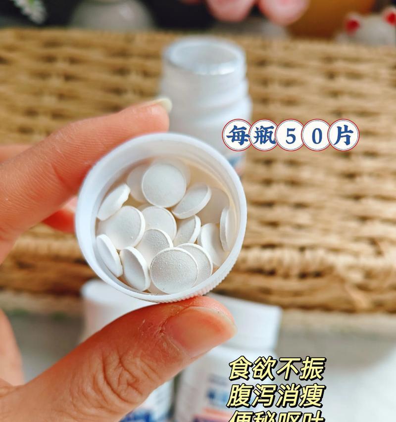 如何正确给狗狗进行体外驱虫药物治疗（了解合适的给药时间和方法，保护宠物免受寄生虫侵害）