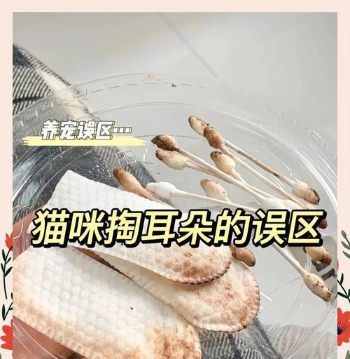 小猫耳朵的掏耳周期（探究小猫需要多久清理一次耳朵）