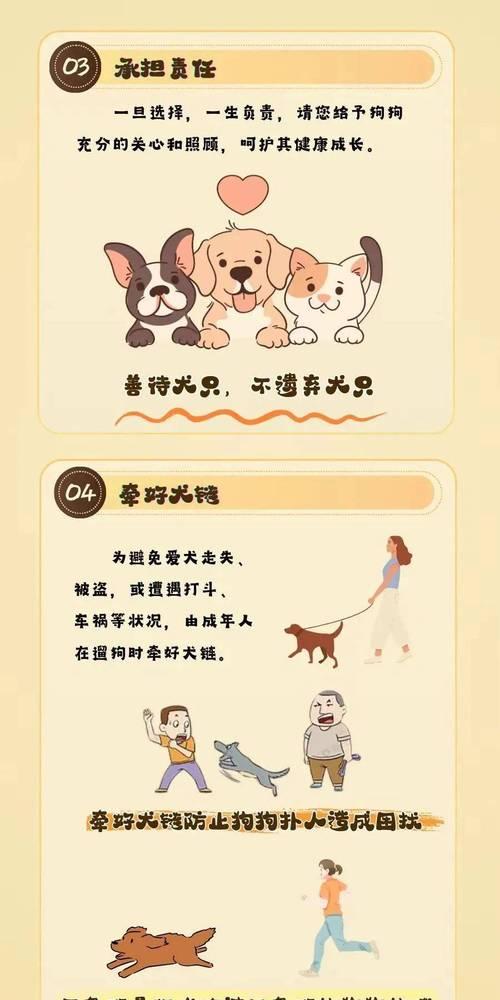 养狗必看！各年龄段的狗狗体检都要做些什么？（了解狗狗不同年龄段的体检内容，守护它们的健康）