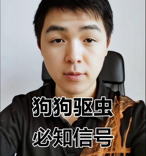 小狗虫子症状大揭秘（小狗身上有虫子的明显症状及防治方法）
