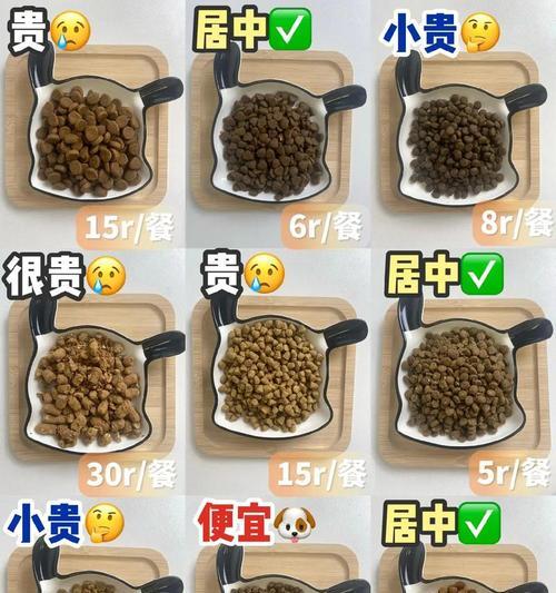 狗粪中的细菌（揭开狗粪中细菌的神秘面纱）