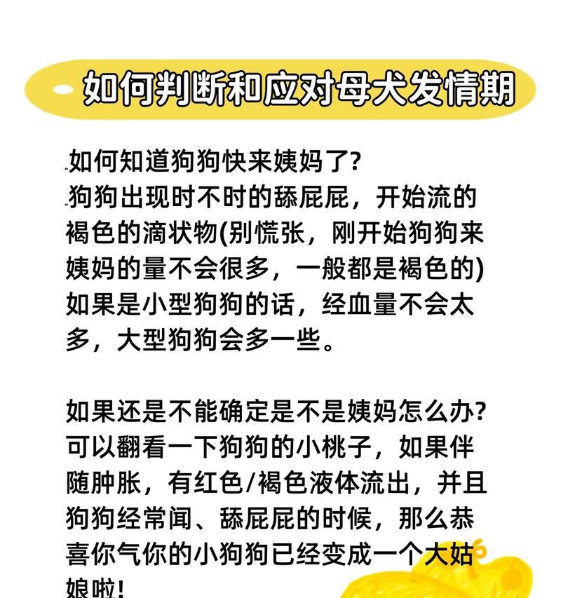 狗的月经周期及相关注意事项（探秘狗的生理周期和保健细节，了解你家宠物的身体状况）