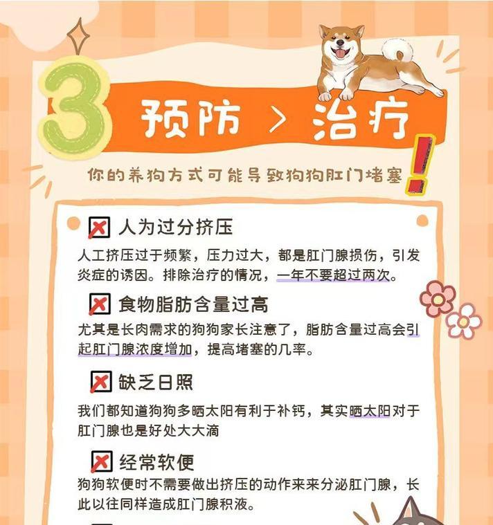 如何帮助你家狗狗挤过肛门腺（5个简单易学的教程，让你的狗狗保持健康）