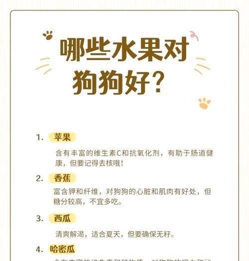 幼犬喂食指南（关于幼犬的饮食需求，你需要知道的一切）