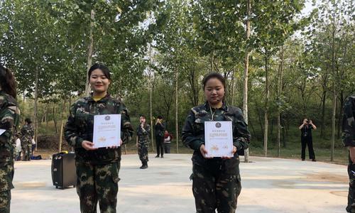传统养法之三开三闭养眉鸟，提升鸟儿的健康与活力（探索三开三闭养鸟法的奥秘，让你的眉鸟焕发光彩）