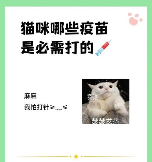 猫咪接种疫苗的重要性（保护宠物健康，从接种疫苗开始）
