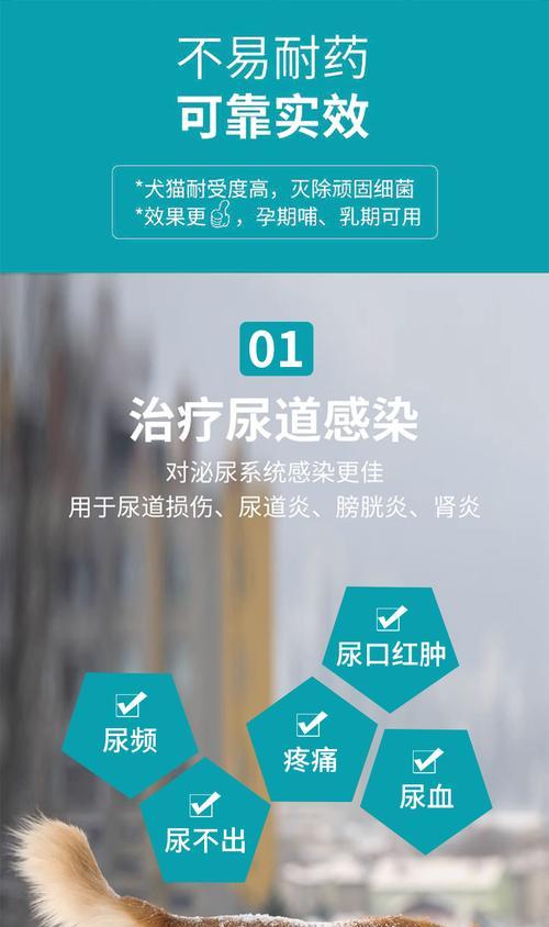 猫尿路感染（科学用药是治疗猫尿路感染的关键）