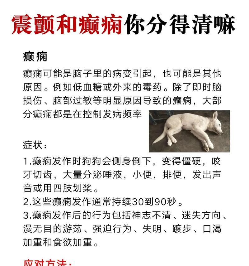 犬抽搐疾病解析——从病因到治疗（探寻引发犬抽搐的常见疾病及其治疗方法）