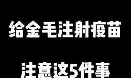 金毛犬的疫苗接种时间表（保护金毛宝宝健康的关键时刻）