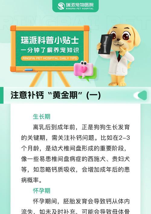 小泰迪补钙的正确用量方法（掌握正确的补钙方式，守护小泰迪的健康成长）
