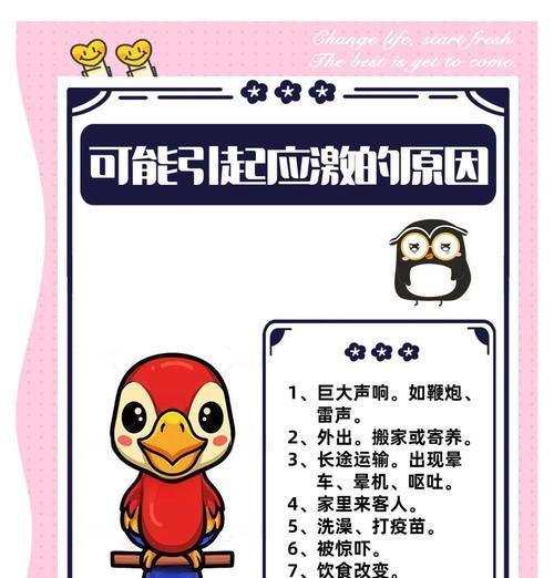 鹦鹉打架引发出血！如何正确处理？（有效方法和紧急措施缓解鹦鹉出血）