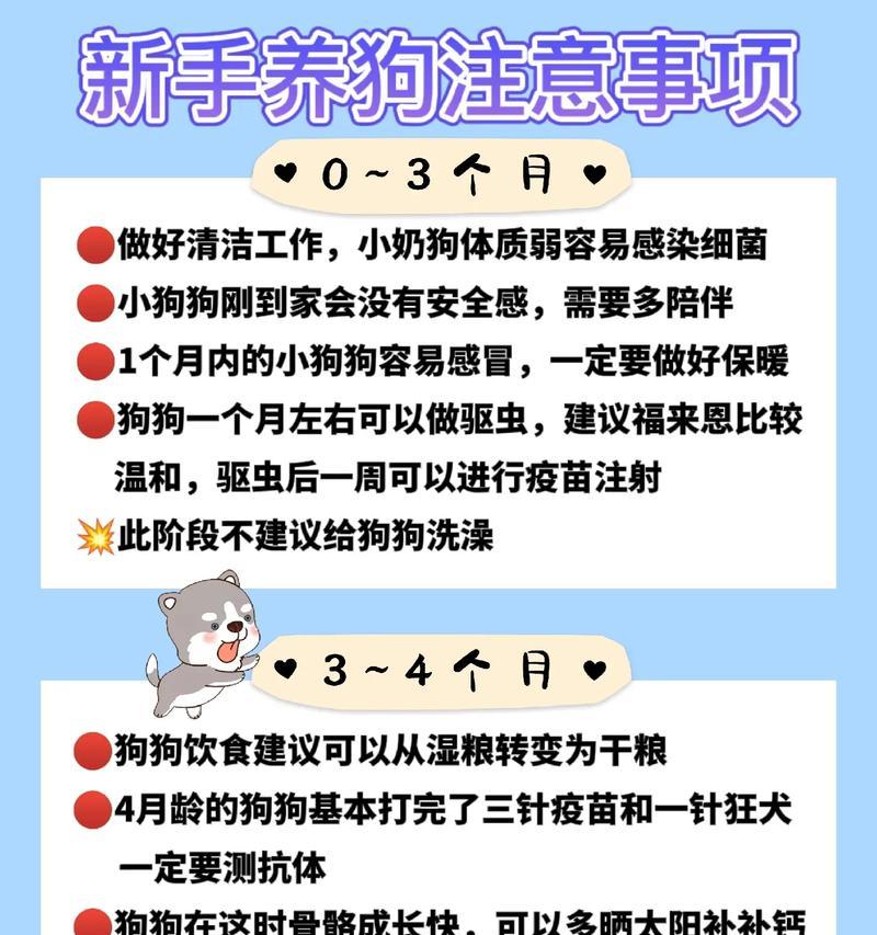狗的生产后注意事项（让您的宠物健康幸福的关键要素）