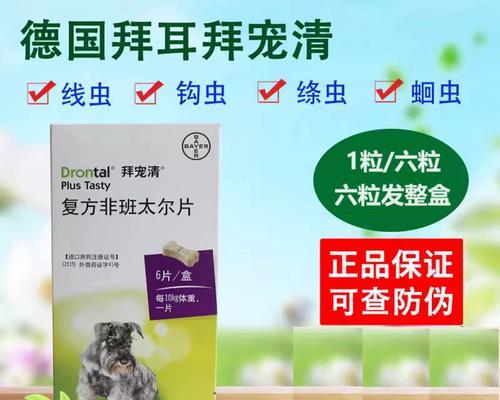 泰迪犬驱虫周期及方法探究（科学合理的驱虫保健方案，让泰迪宠物更健康）