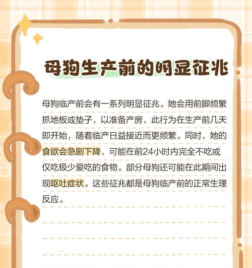 狗的产前症状及注意事项（了解狗的产前症状，给予它们最好的关怀）