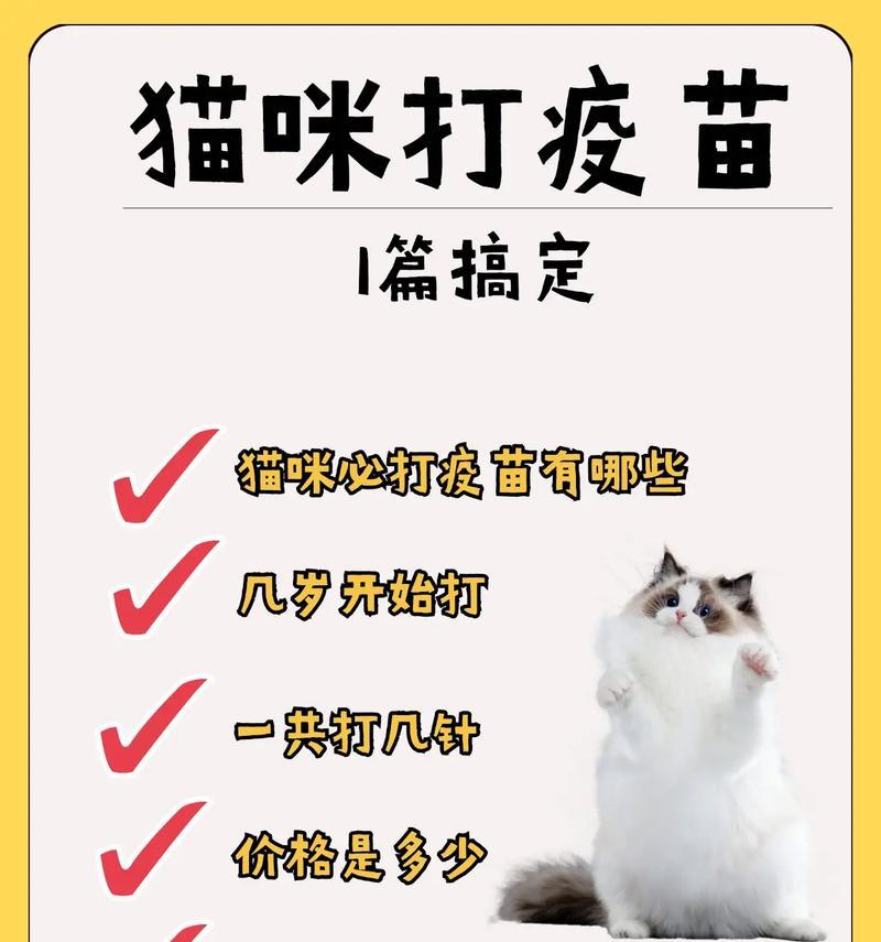 猫咪打完疫苗后多久能换环境？（健康猫咪的适应期和环境转换注意事项）