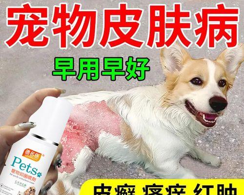 治疗狗狗真菌皮肤病的药物及用药时长（探索真菌皮肤病的常见药物和用药时长，帮助狗狗恢复健康）