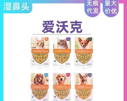 探索适合携带毛茸宠物的顶级品牌（毛绒宠物的最佳选择及关键要素）