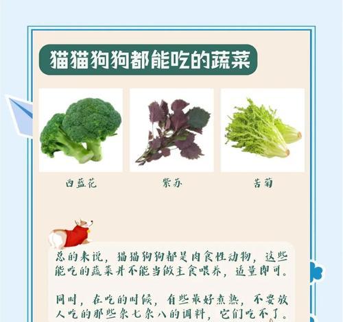狗可以吃哪些蔬菜？（营养均衡的狗食必备蔬菜推荐）