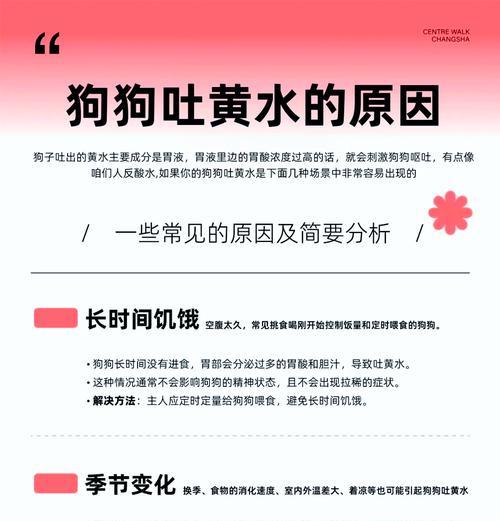 犬腹水（常见病因导致狗狗腹水的阐述）