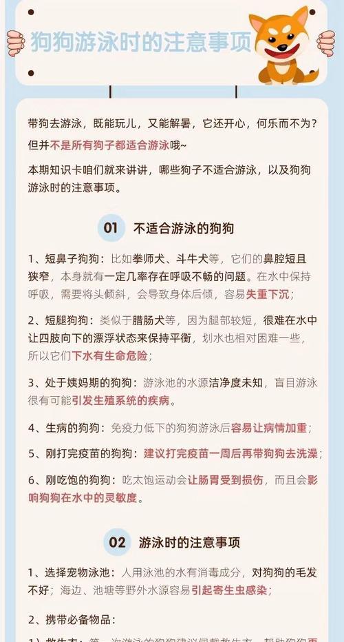 狗狗的日常护理费用（了解狗狗检查和接种疫苗所需的费用及相关注意事项）