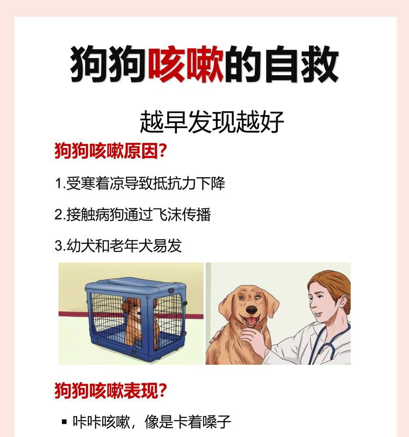 狗狗咳嗽（了解狗狗咳嗽的常见原因和分类，保护你的毛茸宝贝的呼吸健康）