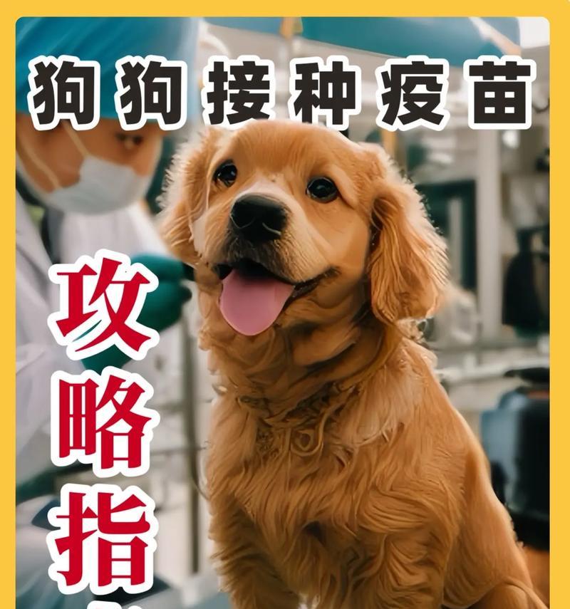 刚出生的狗狗要打哪些疫苗？（保护狗狗健康的重要措施与时间安排）
