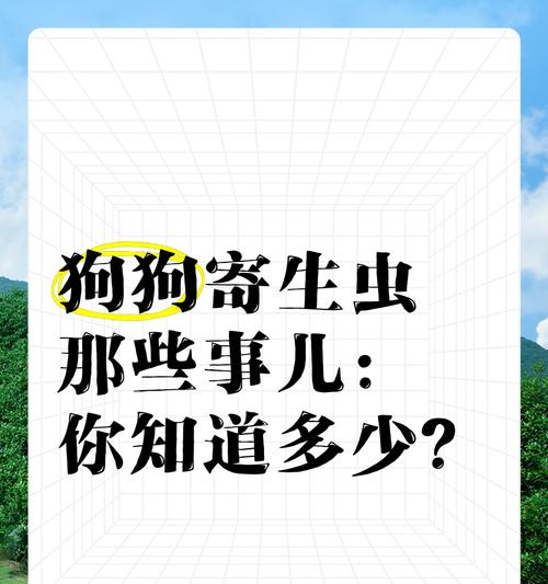狗狗绦虫是什么？如何有效防治？（了解狗狗绦虫的危害及预防方法）
