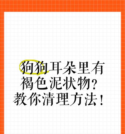 如何正确清理狗狗耳朵（学会清理耳朵，让狗狗更健康）