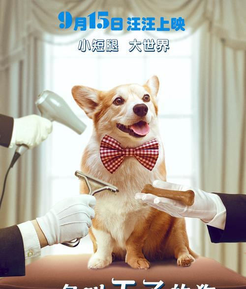 用爱与忠诚织就的感人电影——狗的故事（探索无私友谊的经典作品）
