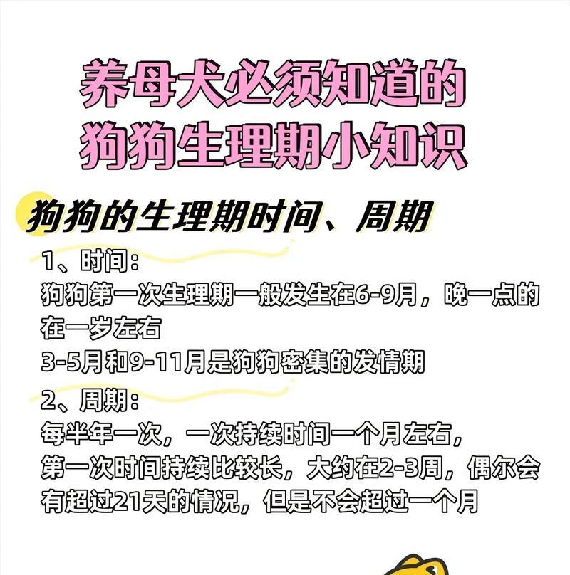 狗狗生完宝宝后，应该留多久血？（了解宠物狗狗产后出血的重要性和时间长度）