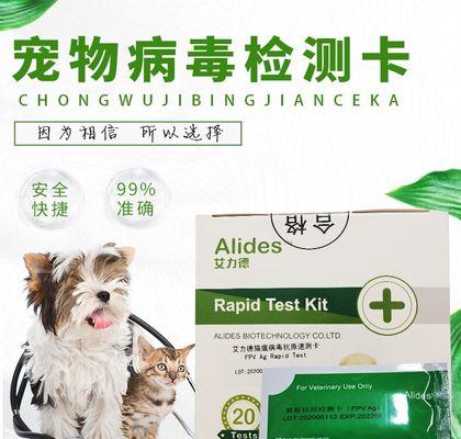 细小病毒检测时间有多长？（探究细小病毒检测时间的关键因素）