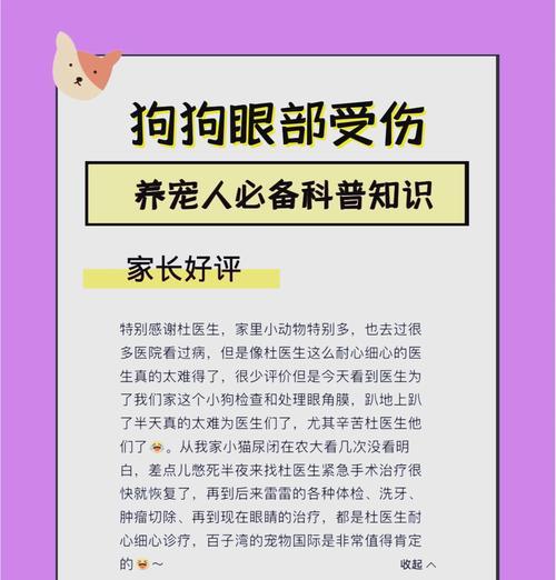 用五个技巧，让狗狗的眼睛重拾明亮（解密狗狗萌眼背后的秘密，如何让狗狗的眼神更加饱含情感）