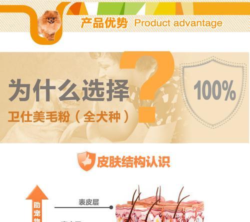 如何科学合理地给狗狗使用美毛粉（合理使用美毛粉的注意事项和功效解析）