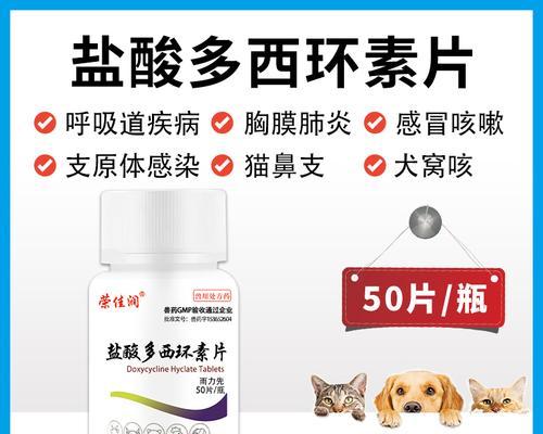 猫鼻支持用药大揭秘（探究猫鼻支持药物的选择与使用）
