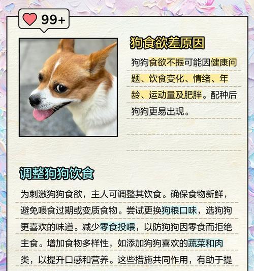 狗犬交配频率的探讨（揭秘狗犬繁殖周期及合适的配对时间）