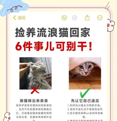 新猫到家多久能洗澡？（了解适当的猫咪洗澡时间和方法）